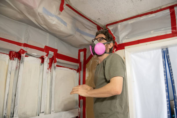 Trusted Farwell, TX Mold Removal Experts